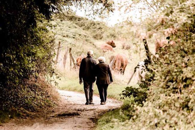 ¡Feliz Día de los Abuelos!