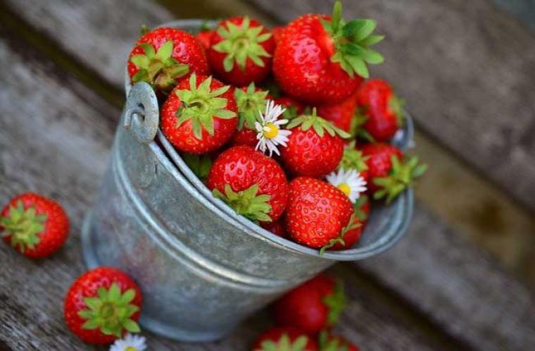 Alimentos de temporada en primavera
