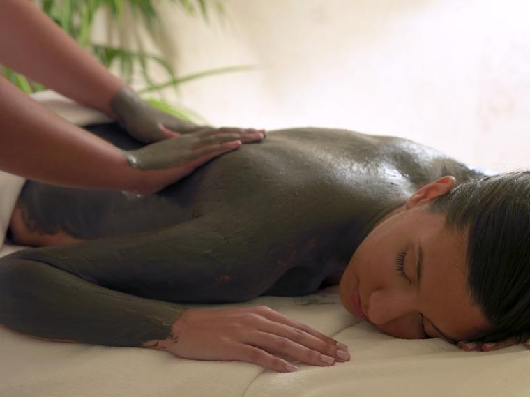 The Benefits of Alga and Algae Wraps 