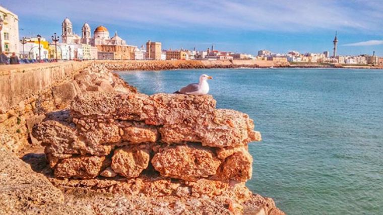 El mejor plan para hacer en Cádiz