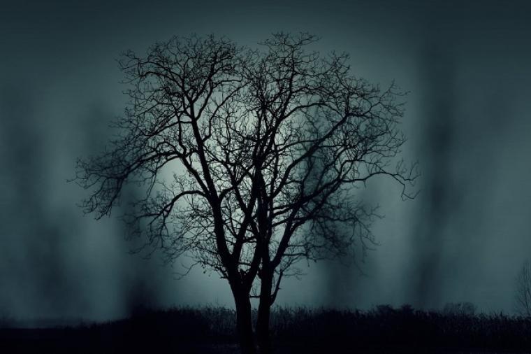 Fin de semana de Halloween… ¡DE MIEDO!