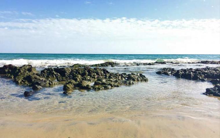 Fuerteventura, una isla que debes conocer