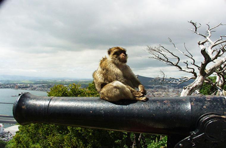 Gibraltar, on the doorstep of Elba Hotels
