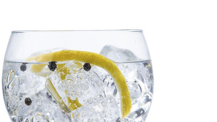El arte del buen Gin Tonic 
