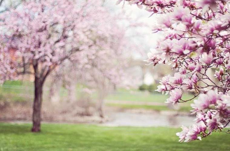 La primavera la sangre altera