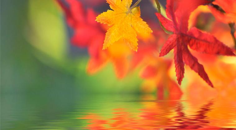 Enjoy autumn to the fullest