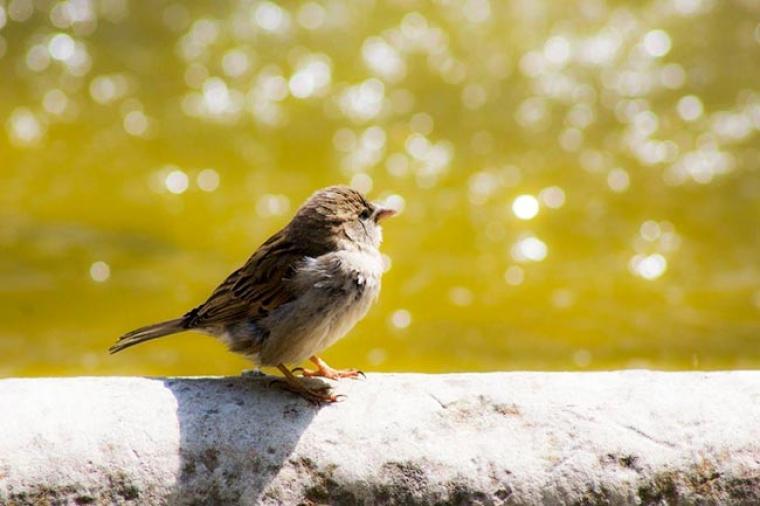 Natural Parks near Elba Hotels