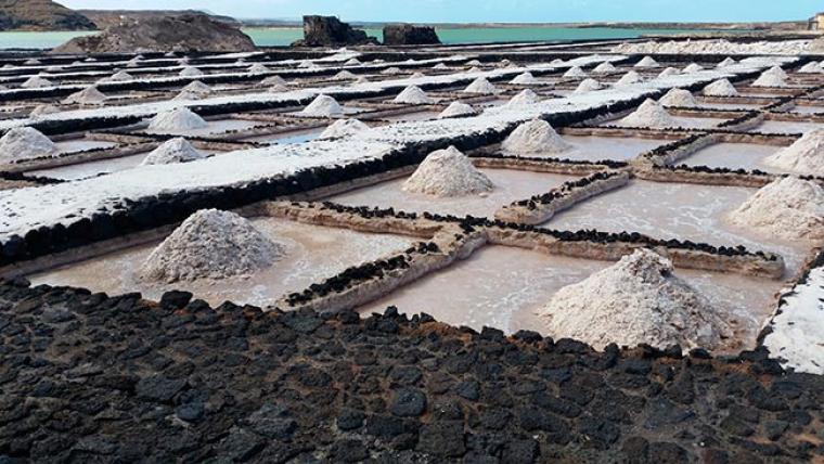 Granja de Sal Espuma en Fuerteventura