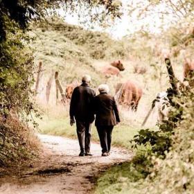 ¡Feliz Día de los Abuelos!