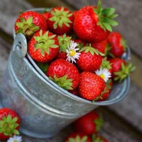 Alimentos de temporada en primavera
