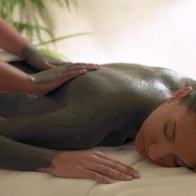 The Benefits of Alga and Algae Wraps 