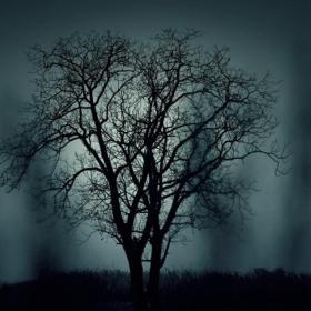 Fin de semana de Halloween… ¡DE MIEDO!