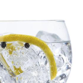 El arte del buen Gin Tonic 
