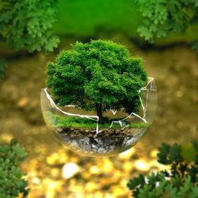 Mañana se celebra el Día Mundial de la Educación Ambiental