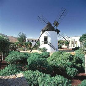 Antigua, un pueblo con encanto en Fuerteventura