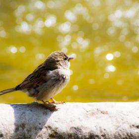 Natural Parks near Elba Hotels