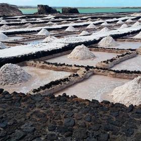 Granja de Sal Espuma en Fuerteventura