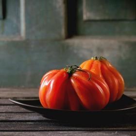 Almería, Capital Española de la Gastronomía 2019