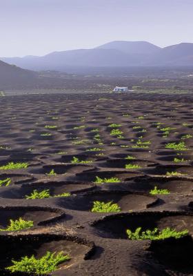 Descubre Lanzarote con Hoteles Elba
