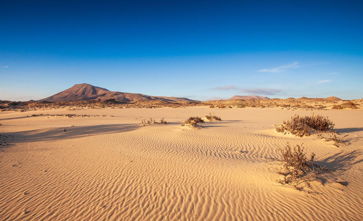 Dunas de Corralejo