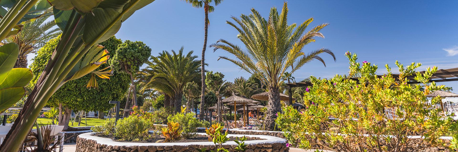 Elba lanzarote royal village resort hotel hoteles elba