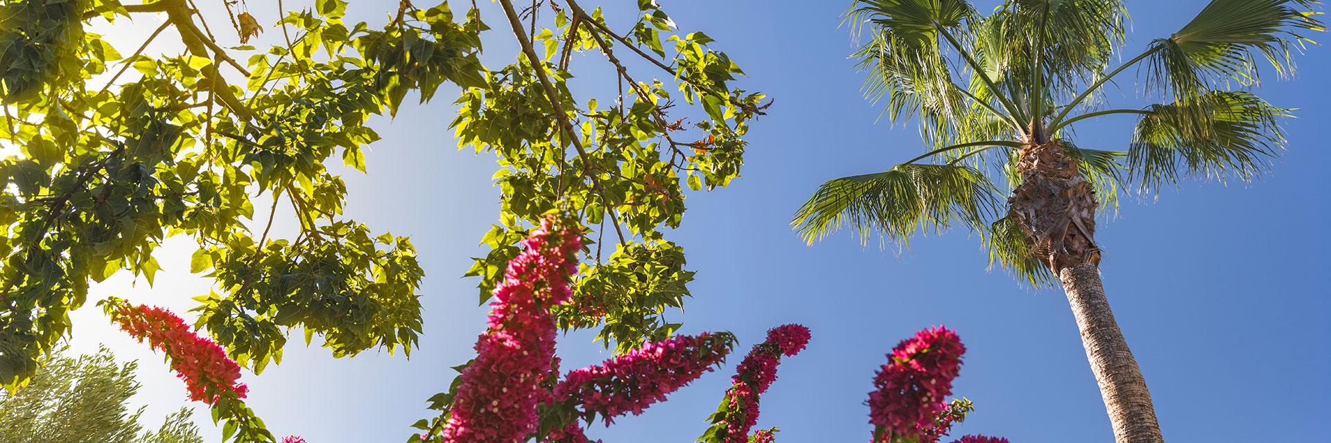 Elba Lanzarote Royal Village Resort Hotel Hoteles Elba elba-lanzarote-royal-village-resort-hotel-hoteles-elba