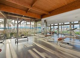 Gimnasio, Elba Costa Ballena