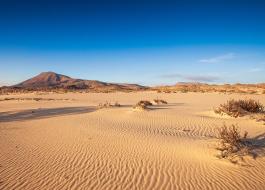 Dunas de Corralejo