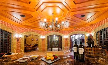 Bodega Canaria Elba Palace