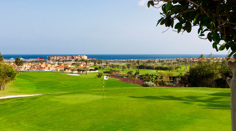 Campo golf vista al mar Elba Sara