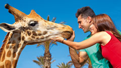 Turistas visitando el Fuerteventura Oasis Park