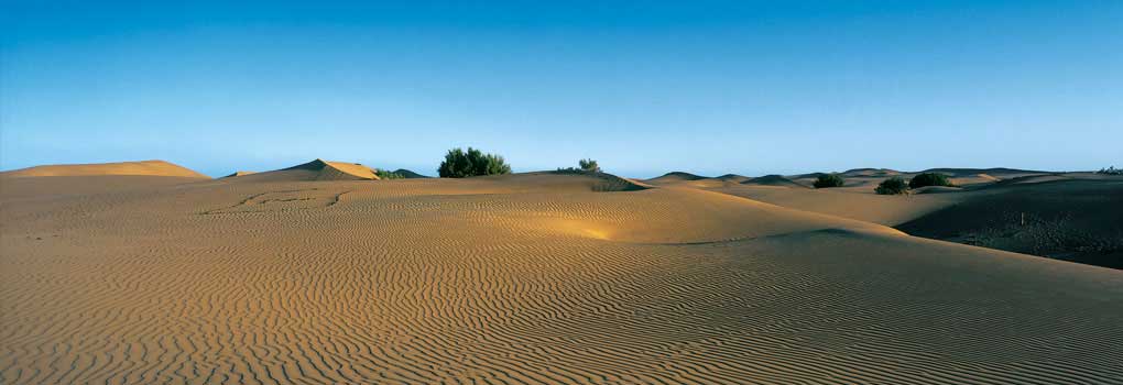 Vista de las dunas de la playa de Maspalomas
